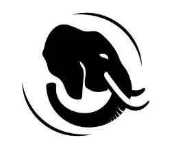 Visual Artist Portfolio